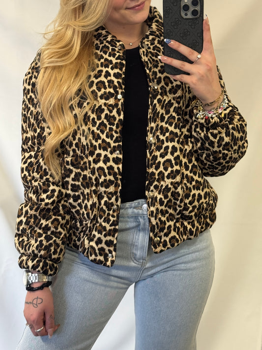 Panter Bomber